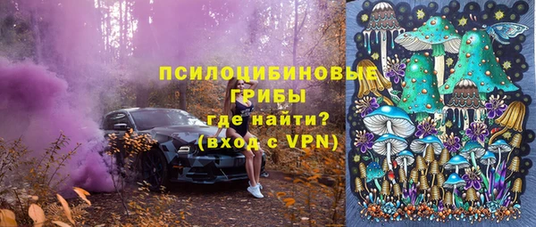 шишки Иннополис