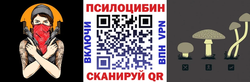 Галлюциногенные грибы Psilocybe  Купить закладки  Вилючинск 